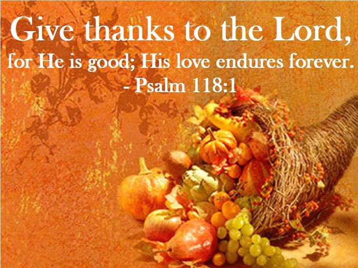 17e044eedeb0eef8408e8af6750082ee--prayer-for-thanksgiving-happy-thanksgiving-day.jpg